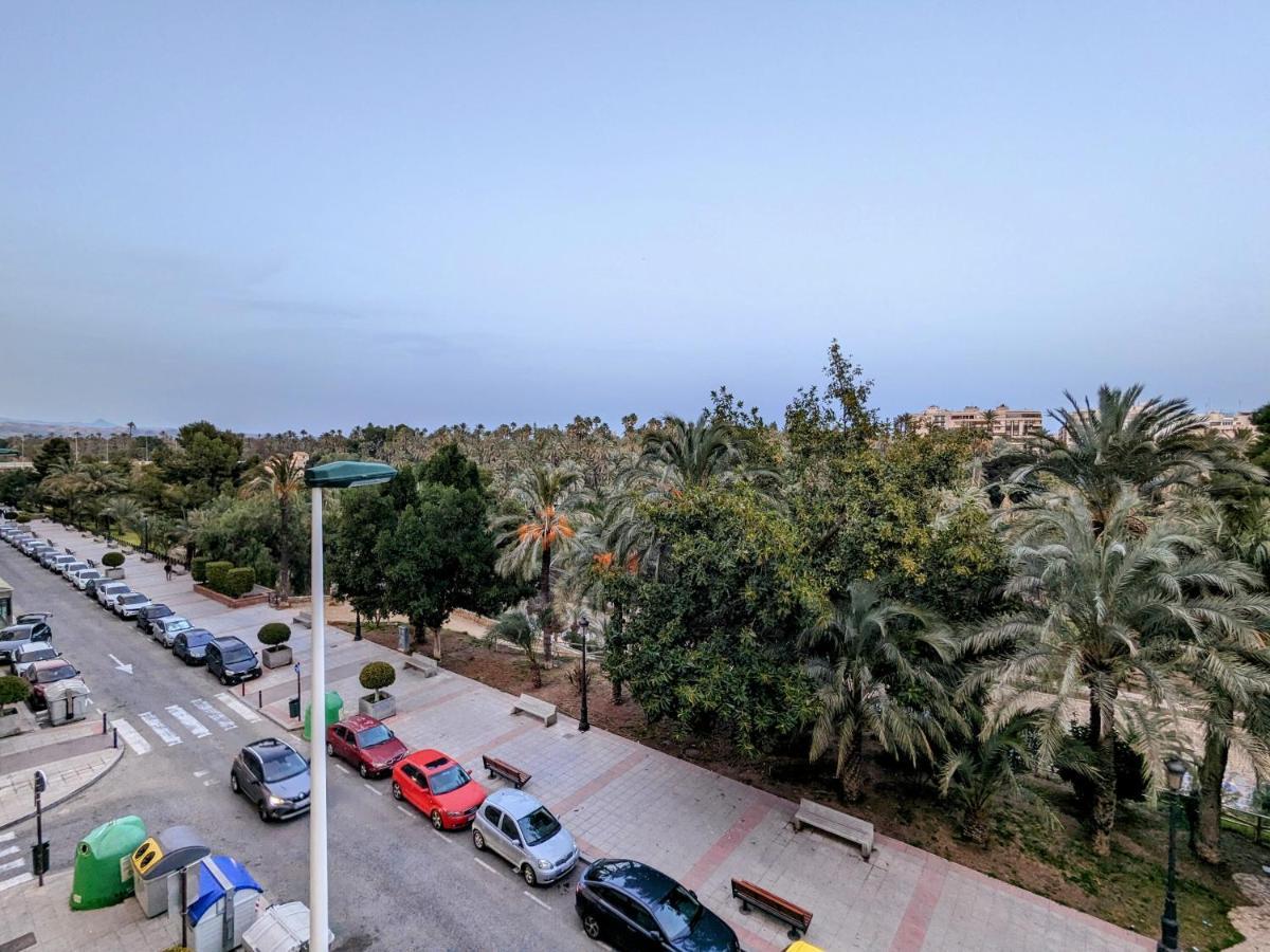 Comunidad Valenciana 31 エルチェ エクステリア 写真
